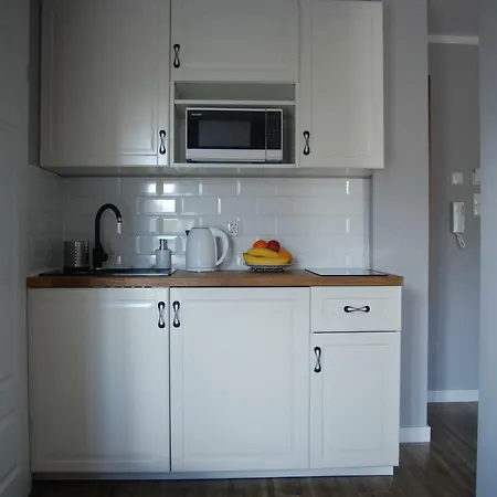 Apartment Palac Tatrzanski-apartament 206